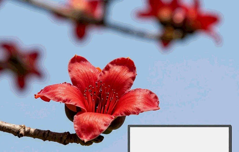 খালি ইনপুটের মহাকাব্য: ব্লকচেইন-এস্পোর্টস সাংবাদিকতায় সত্যের দাম খালি ইনপুটের মহাকাব্য: ব্লকচেইন-এস্পোর্টস সাংবাদিকতায় সত্যের দাম
